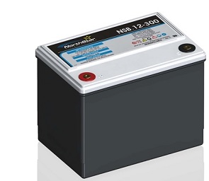 NORTHSTAR UPS Battery Model: NSB 12-300
